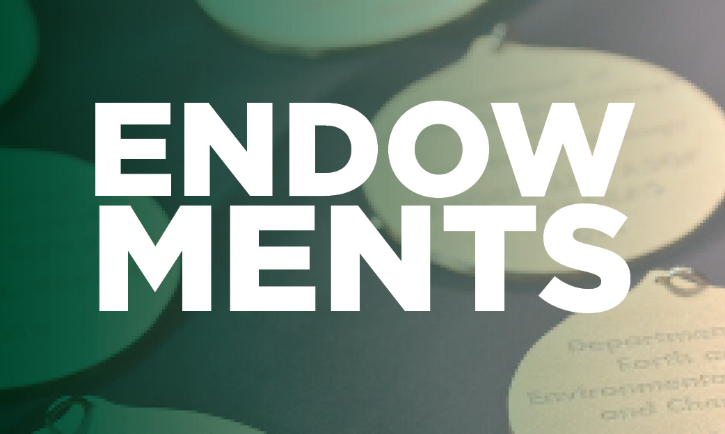 endowment graphic